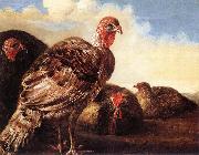 CUYP, Aelbert Domestic Fowl  fg oil painting picture wholesale